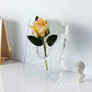 🏺 50% RABATT! ✨ Estetik i nordisk stil – Elegant INS fotoramme-vas – Transparent & modern design – perfekt för torkade blommor, foto eller som inredningsdetalj 🖼️🌿