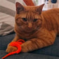 Jiggle-boll för Katt