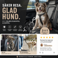 🛒 50% RABATT NU! 🐶 2-i-1 hundbilssäkerhetsbälte och promenadkoppel – Stabil & slitstark – Perfekt för bilresor och utomhuspromenader 🚗🌿