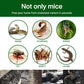 🐭Stor klibbig musfälla--💥Köp 1 få 1 gratis (2st)