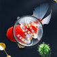 【Alger King】Crazy Aquatic ogräs alger borttagare