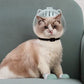 🔥🎁Nyhet 50 % RABATT🔥Anti-Bite transparent katt hjälm & tassöverdrag