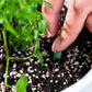 🌱 Växtnäringspinnar med långvarig verkan – balanserad NPK-sammansättning för rötter, blad och blommor! 🌿✨