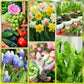 🌱 Växtnäringspinnar med långvarig verkan – balanserad NPK-sammansättning för rötter, blad och blommor! 🌿✨