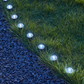 Solcellsdrivet LED-gräslampset – automatisk på/av, väderbeständigt och perfekt för gångvägar och trädgårdsdekoration