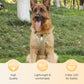 🐶 50% RABATT NU! 🛡️ Dragfri Hundsele med Koppel & LED-halsband – Säker & Bekväm ✨