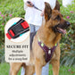 🐶 50% RABATT NU! 🛡️ Dragfri Hundsele med Koppel & LED-halsband – Säker & Bekväm ✨