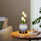 🔥🎁Nyhet 50 % RABATT🔥Elegant nattlampa i form av en tulpanbukett