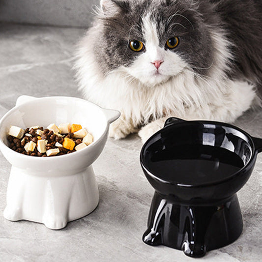 📢📢50 % RABATT NU!! ⏰Ergonomisk, upphöjd kattskål i plast
