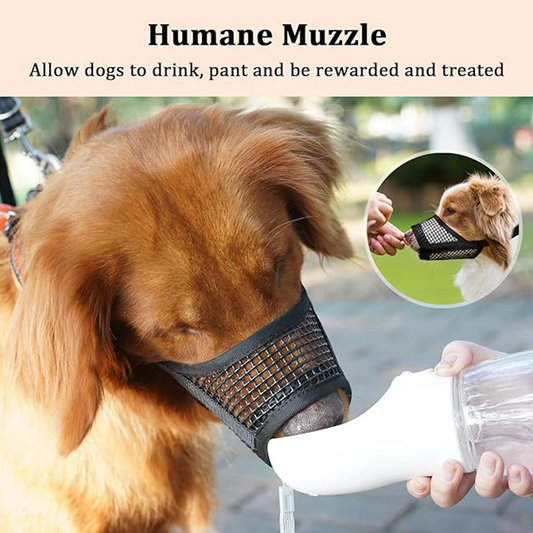 🐕 50% RABATT! 🕸️ Andningsbart nätkorg för små hundraser – Lättvikt & säker – Ventilerande mesh, justerbar axelrem – perfekt för resor, shopping eller dagliga promenader – håller hunden sval och bekväm 🌿