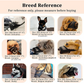 🐕 50% RABATT! 🕸️ Andningsbart nätkorg för små hundraser – Lättvikt & säker – Ventilerande mesh, justerbar axelrem – perfekt för resor, shopping eller dagliga promenader – håller hunden sval och bekväm 🌿
