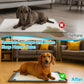 Splash-Proof Silicone Pet Pad