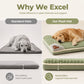 🛏️ 50% RABATT NU! 🐾 Premium plysch husdjursmatta – ultramjuk, mysig & halkfri – perfekt för hundar och katter att vila i komfort 🌙