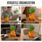 Creative Pineapple Desk Cable Organizer