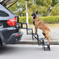 🎉 TIDSBEGRÄNSAT 50% RABATT! 🐕 Bärbar, hopfällbar, halkfri hundtrappa för bil – Robust stöd, förstärkta handtag & kompakt design ✨