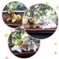 🎉 2026 Sale — Over 12,000 Sold! 🐶 Cute Dog Bobblehead – Nods Along Every Turn – 10 Breeds, Soft Plush, Gold Chain – Brings Smiles to Every Drive 🚗