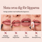 12-färgat matt läppkonturpenna-set