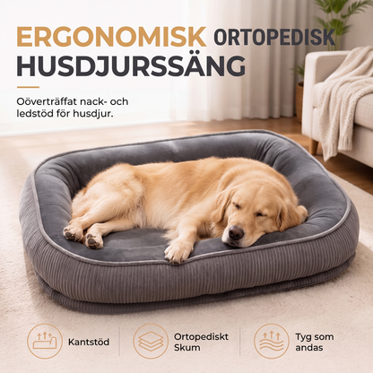 Ergonomisk och bekväm hundsäng för alla säsonger