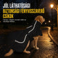 🐶50% RABATT❄️Vadderad Vinterjacka för Medelstora och Stora Hundar – Tjock och Varm, skyddar mot kyla utomhus💥