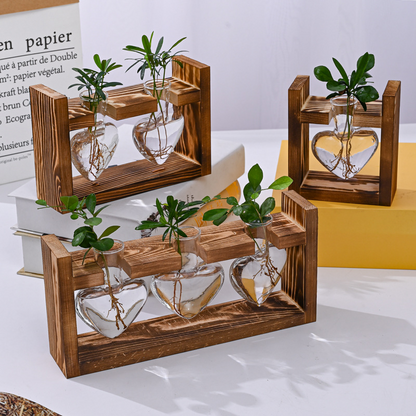 📢📢50% RABATT NU!! ⏰Hydroponisk glasvas med rustik träställning för sticklingar och växter