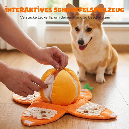 🐶50 % rabatt🍊Orange Hide & Seek plyschleksak, interaktiv aktiveringsleksak för hundar